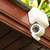 Comcast XFINITY Home security system: pros, cons and costs
