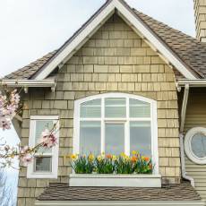 Wood siding