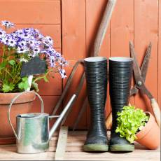 outdoor storage