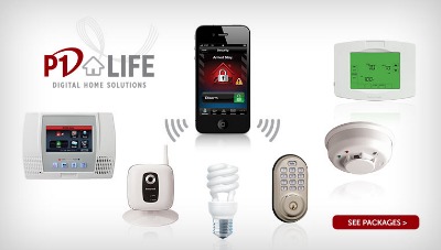 Protect America and Protection 1 both offer business security systems. Learn more about each system, including wireless access and prices. 